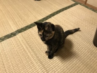 IMG_1224 IMG_12241-e1539502700902